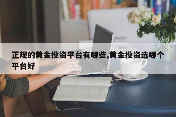 正规的黄金投资平台有哪些,黄金投资选哪个平台好